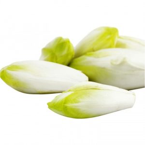 ENDIVE