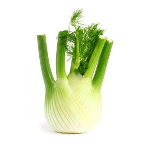 FENOUIL