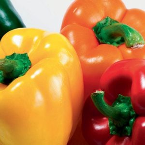POIVRON ROUGE ET VERT
