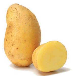 POMME DE TERRE AGATA